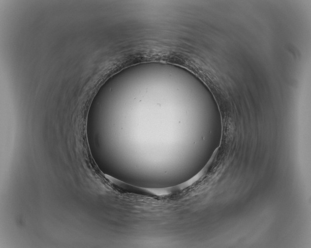 X0000110951153200906261315