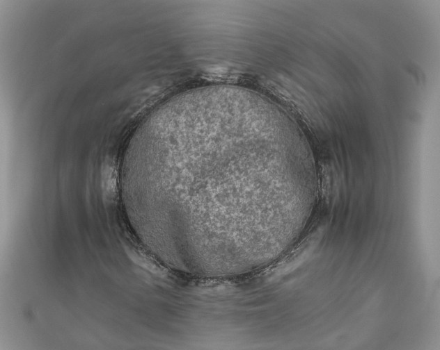 X0000110951154200906261315