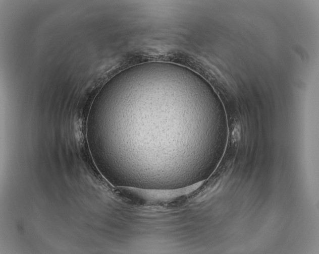 X0000110951156200906261315