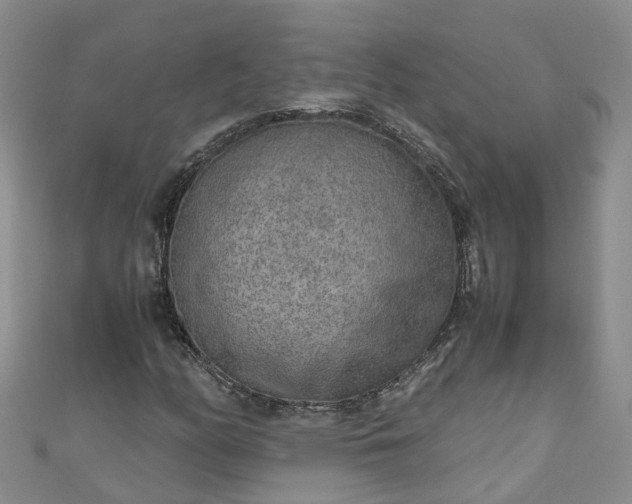 X0000110951158200906261315