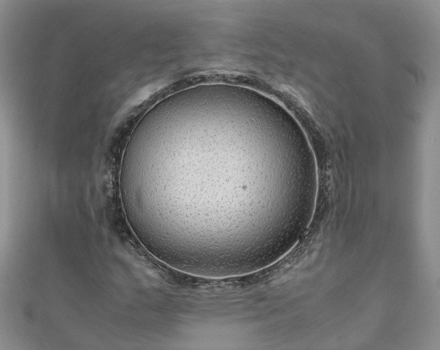 X0000110951159200906261315
