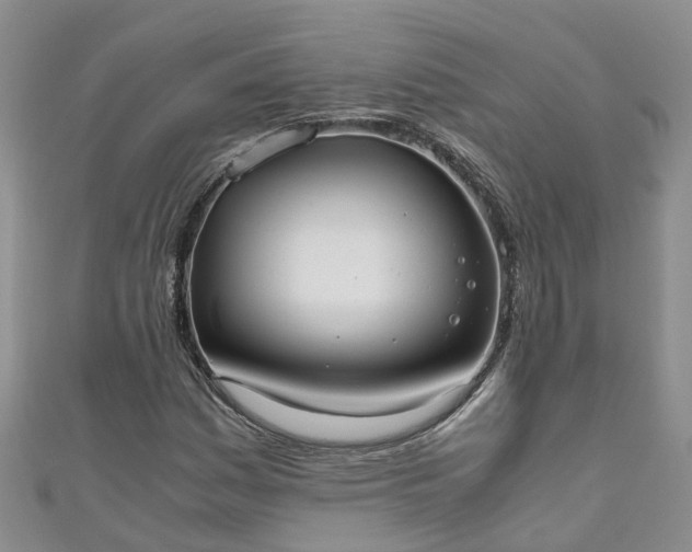 X0000110951161200906261315