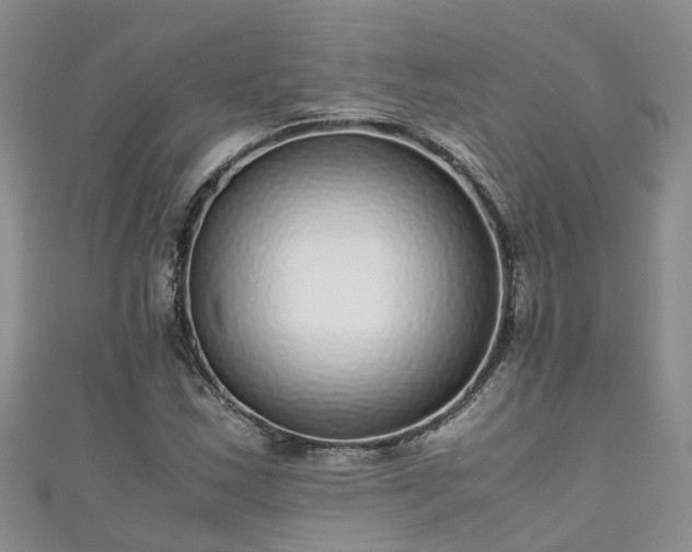 X0000110951163200906261315