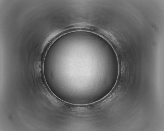 X0000110951164200906261315