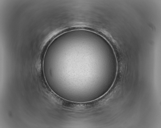 X0000110951167200906261315