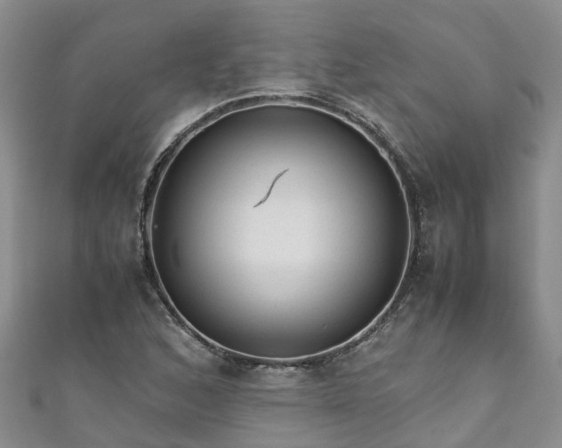 X0000110951168200906261315