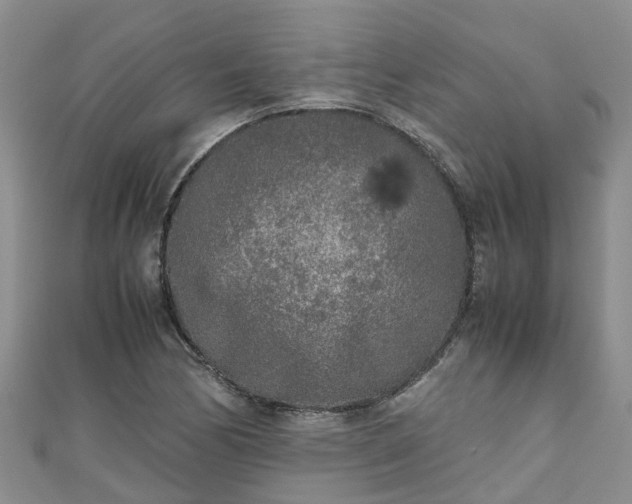 X0000110951170200906261315