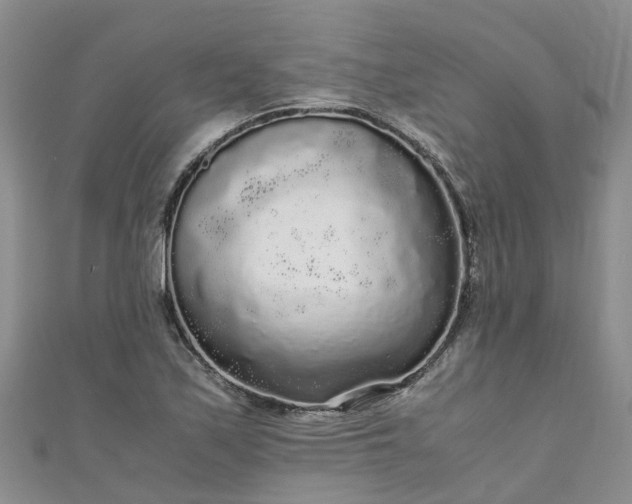 X0000110951171200906261315