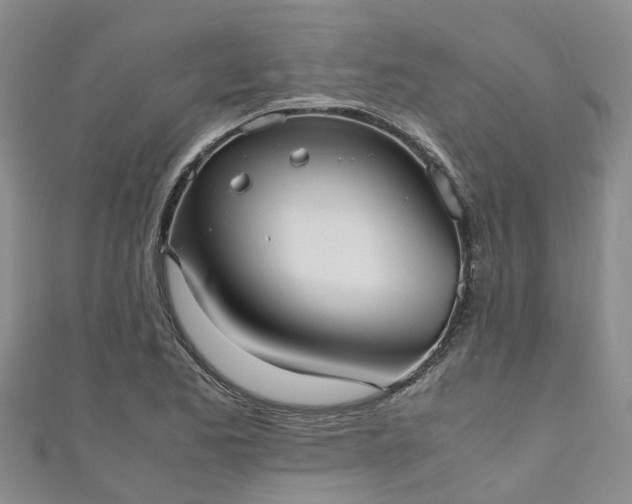 X0000110951173200906261315