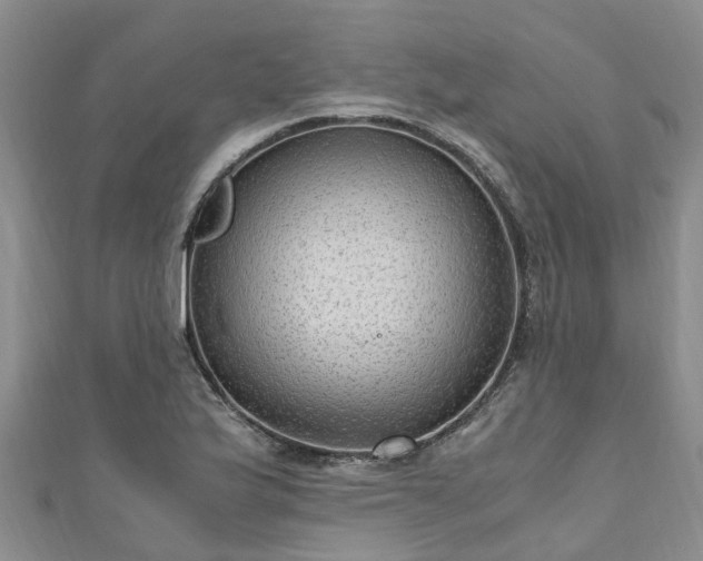 X0000110951175200906261315