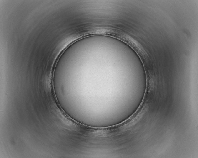 X0000110951178200906261315