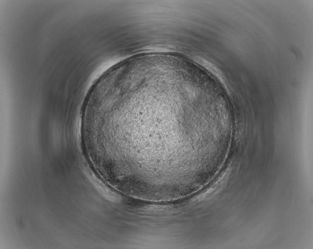 X0000110951179200906261315