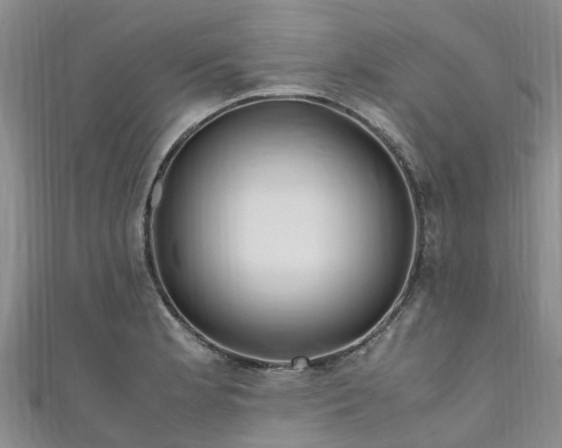 X0000110951181200906261315