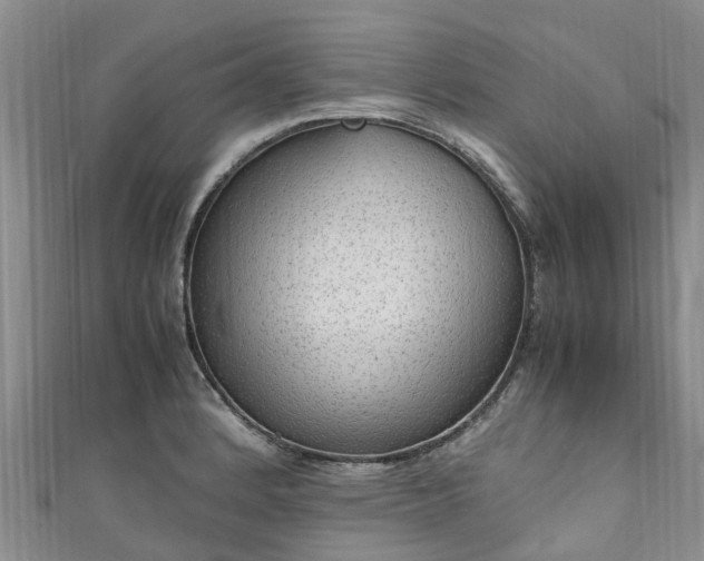 X0000110951184200906261315