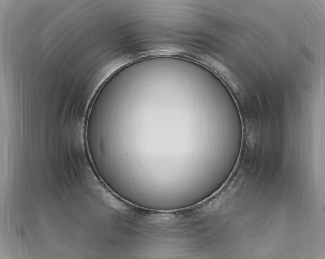 X0000110951186200906261315