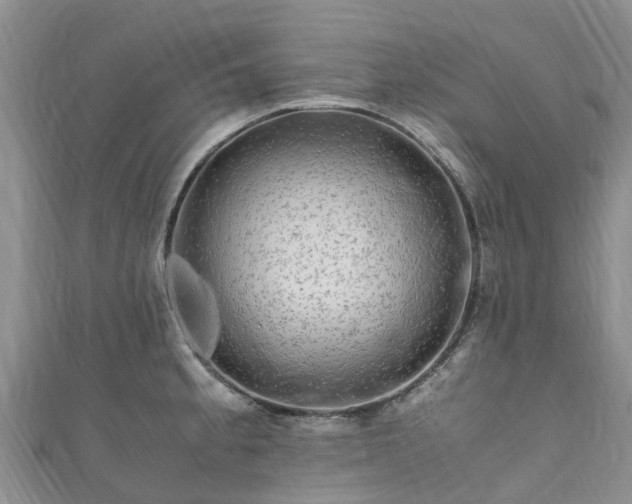 X0000110951189200906261315