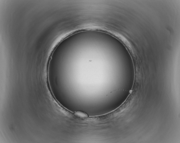 X0000110951191200906261314