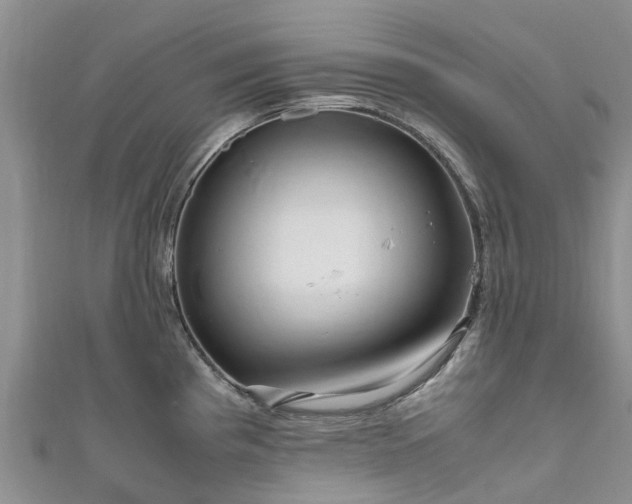 X0000110951193200906261314
