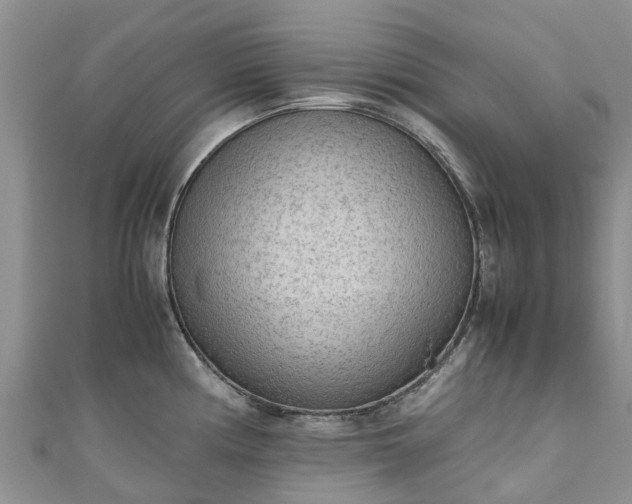 X0000110951194200906261314