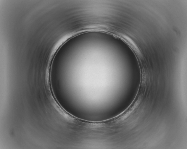 X0000110951196200906261314