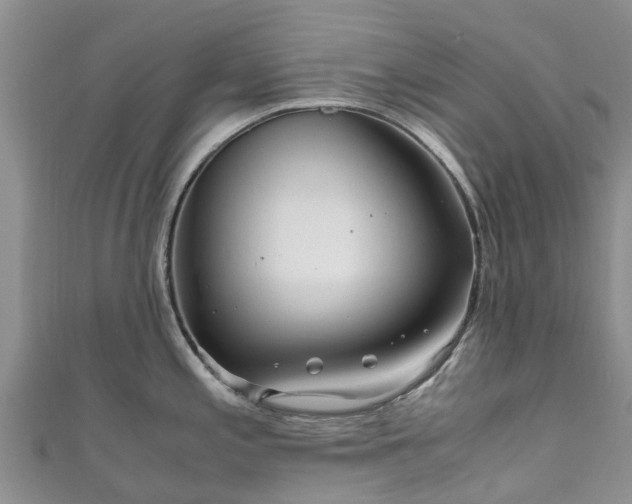 X0000110951197200906261314