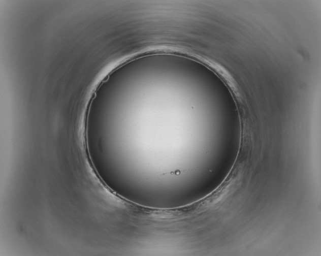 X0000110951199200906261314