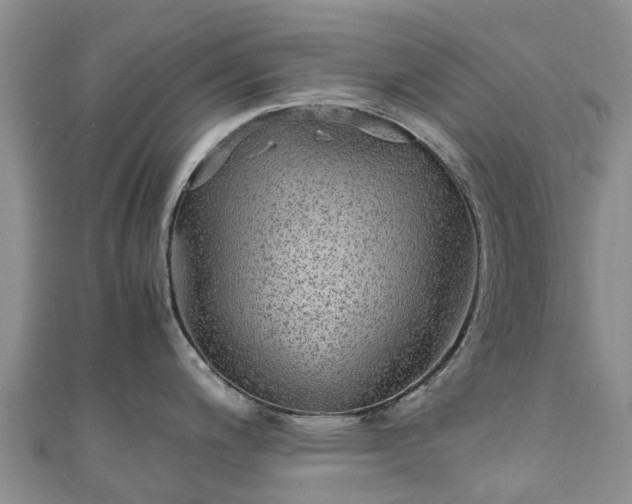 X0000110951200200906261314