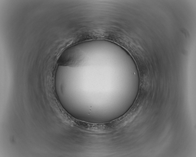 X0000110951201200906261314