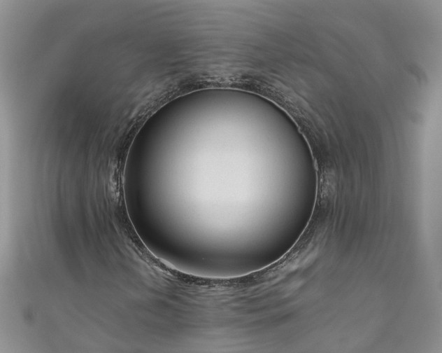 X0000110951202200906261314