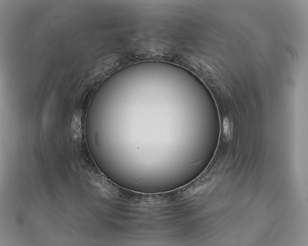 X0000110951203200906261314