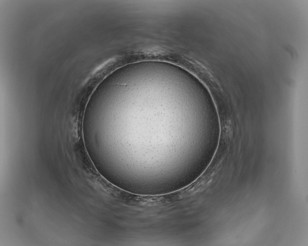 X0000110951205200906261314