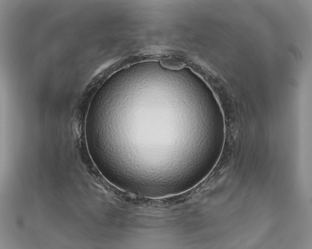 X0000110951206200906261314