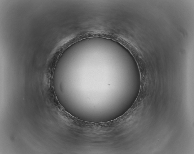X0000110951207200906261314