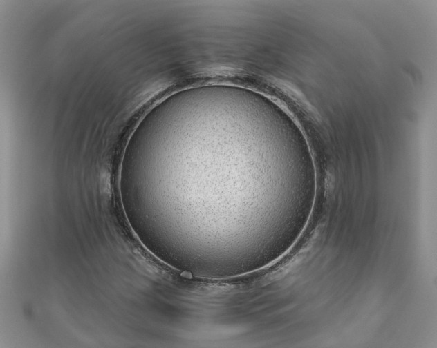 X0000110951209200906261314