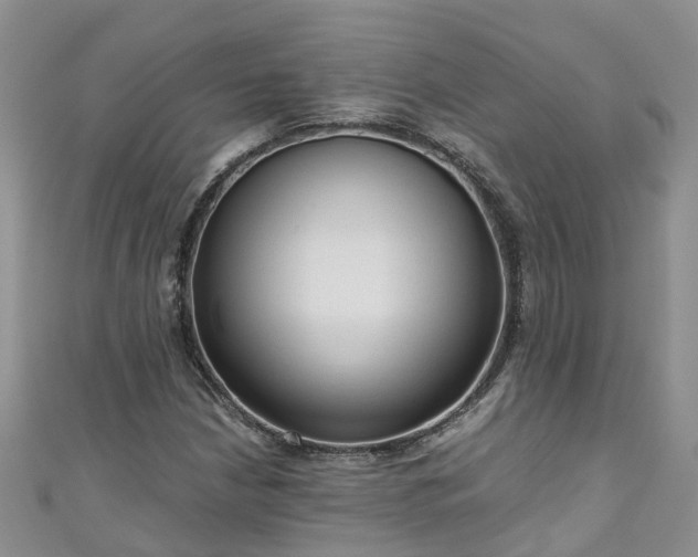 X0000110951210200906261314
