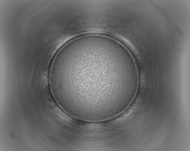 X0000110951212200906261314