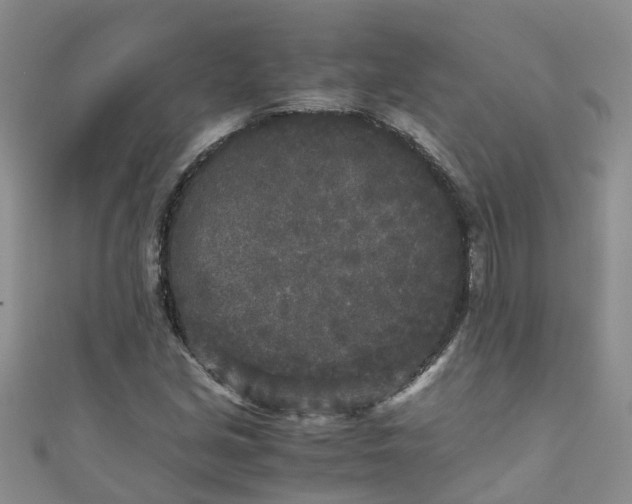 X0000110951213200906261314