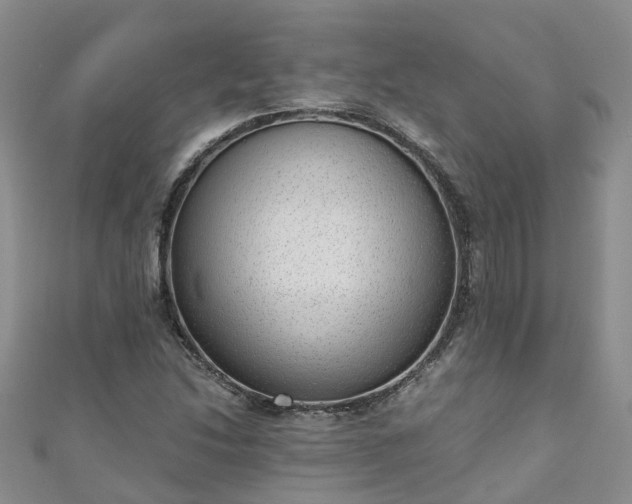 X0000110951214200906261314