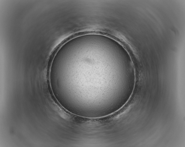 X0000110951216200906261314