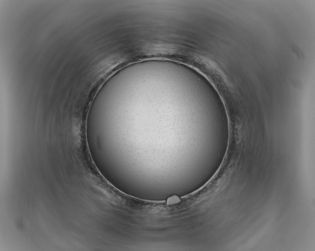 X0000110951217200906261314