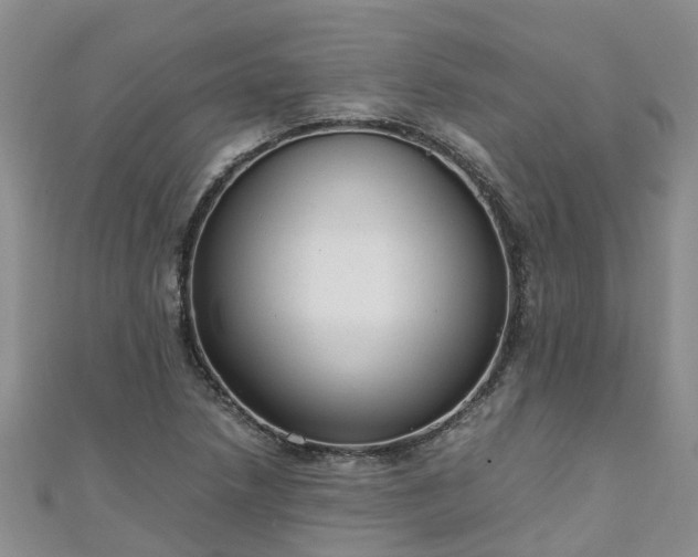 X0000110951218200906261314
