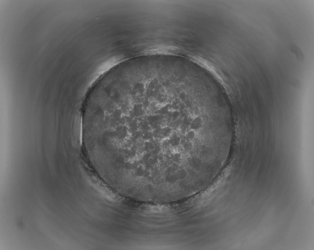 X0000110951219200906261314