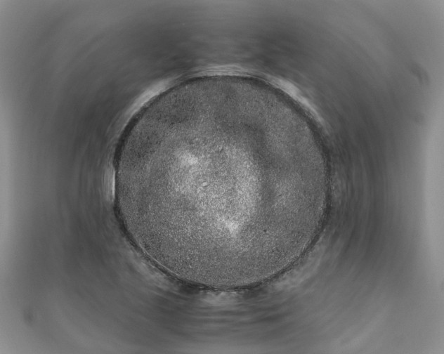 X0000110951221200906261314