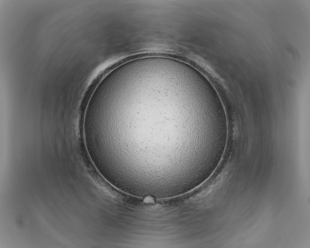 X0000110951222200906261314
