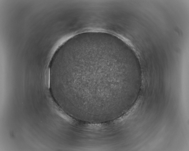 X0000110951223200906261314