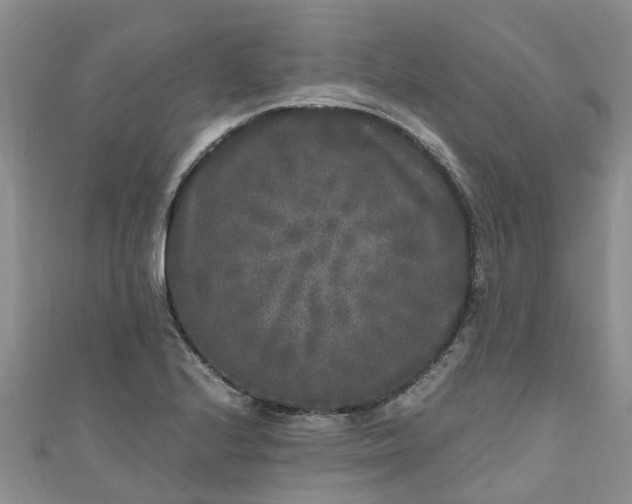 X0000110951224200906261314
