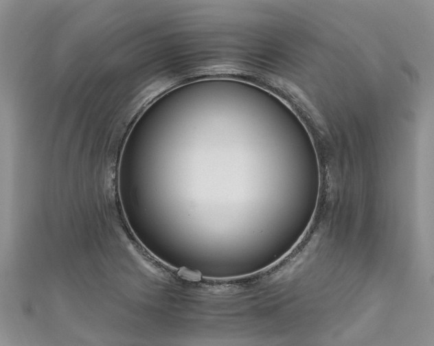 X0000110951225200906261314
