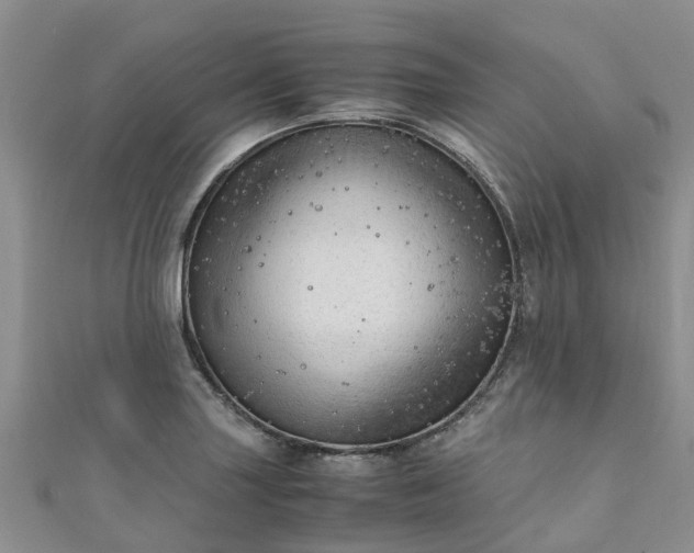 X0000110951227200906261314