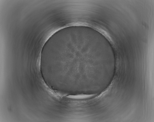 X0000110951228200906261314