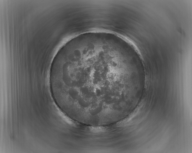 X0000110951231200906261314